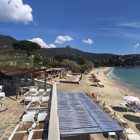 Appartement 3 Pieces 6 Pers Avec Terrasse, Clim, Piscine Privee, Parking - Fr-1-251-81 Ле-Лаванду Екстер'єр фото